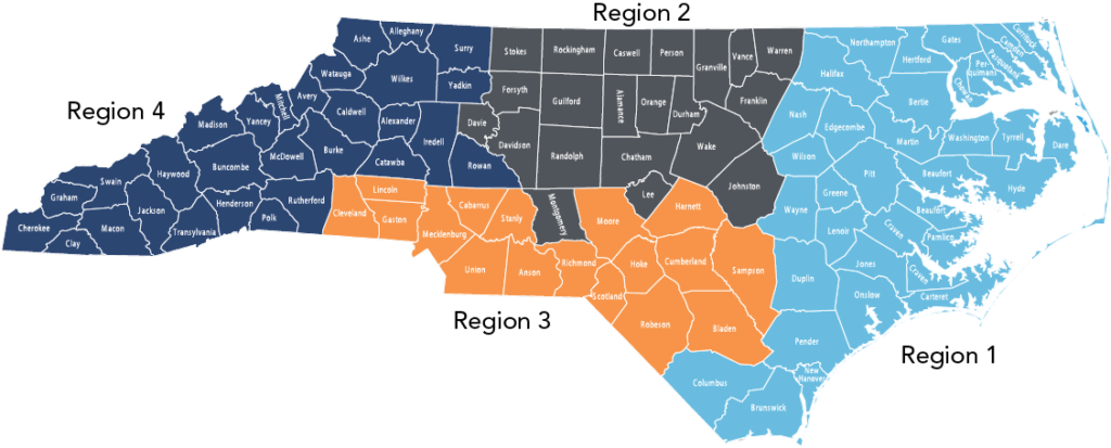 meaning of regional representation